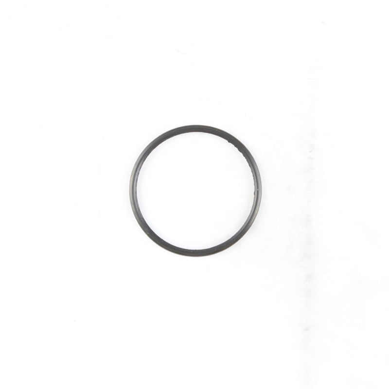 Cometic 03-08 Dodge Cummins 5.9L ISB Common Rail Thermostat Seal-thumbmail-1