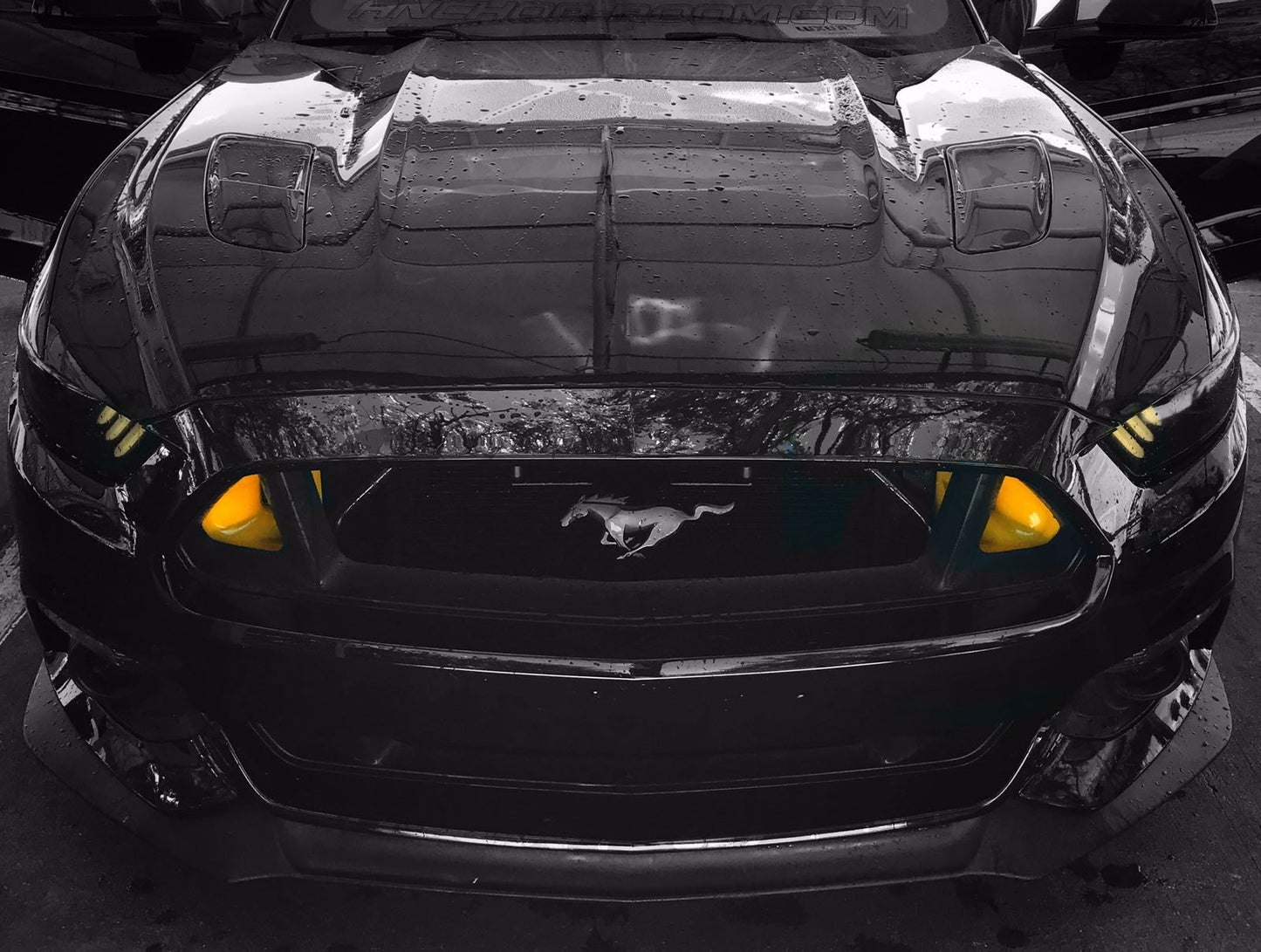 2015-2019 Ford Mustang S550 BIG MOUTH Ram Air Intake Snorkel | Velossa Tech Design