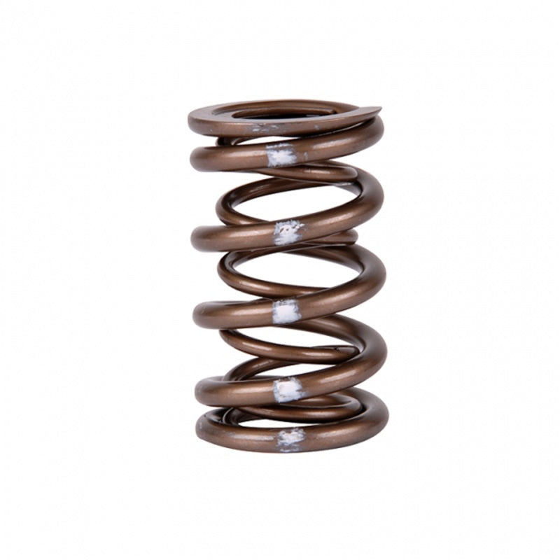 Skunk2 Pro Series Honda/Acura K-Series i-VTEC XP Valve Spring Set (Dual Springs)-thumbmail-3