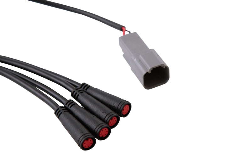 Diode Dynamics RGBW 24-Key M8 RF Controller-thumbmail-2