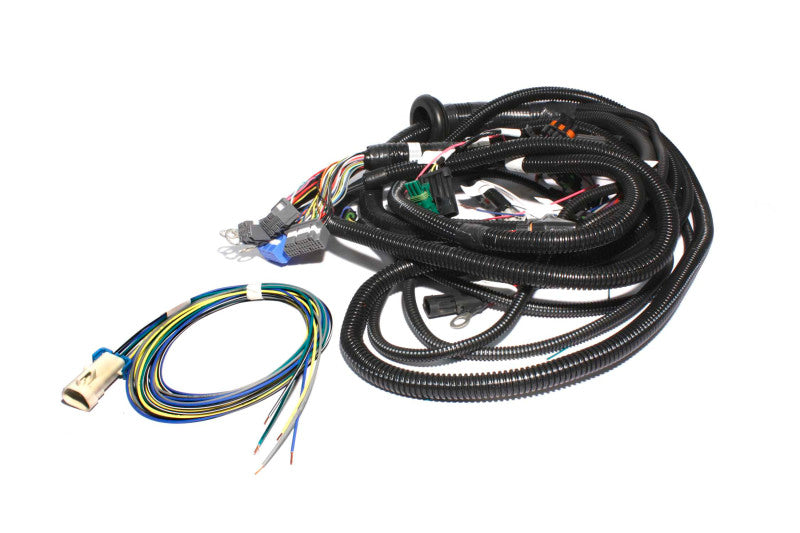 FAST Wiring Harness FAST Main LT1-thumbmail-2