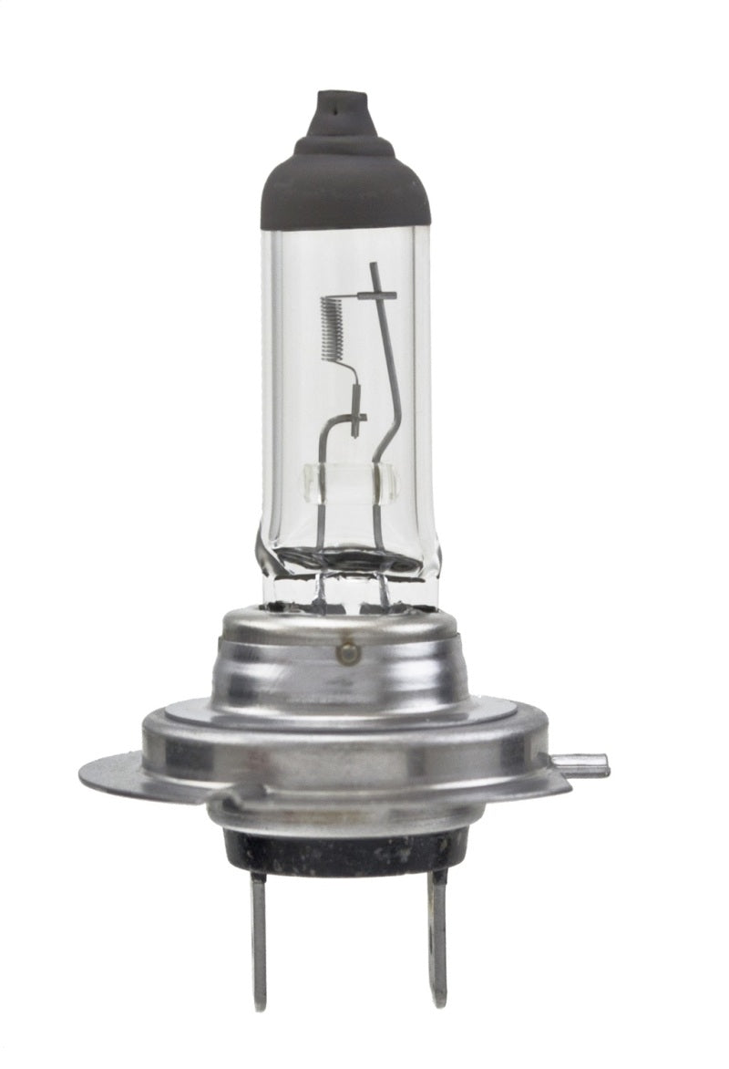 Hella Bulb H7 12V 55W PX26d T4.6 LONGLIFE-thumbmail-2