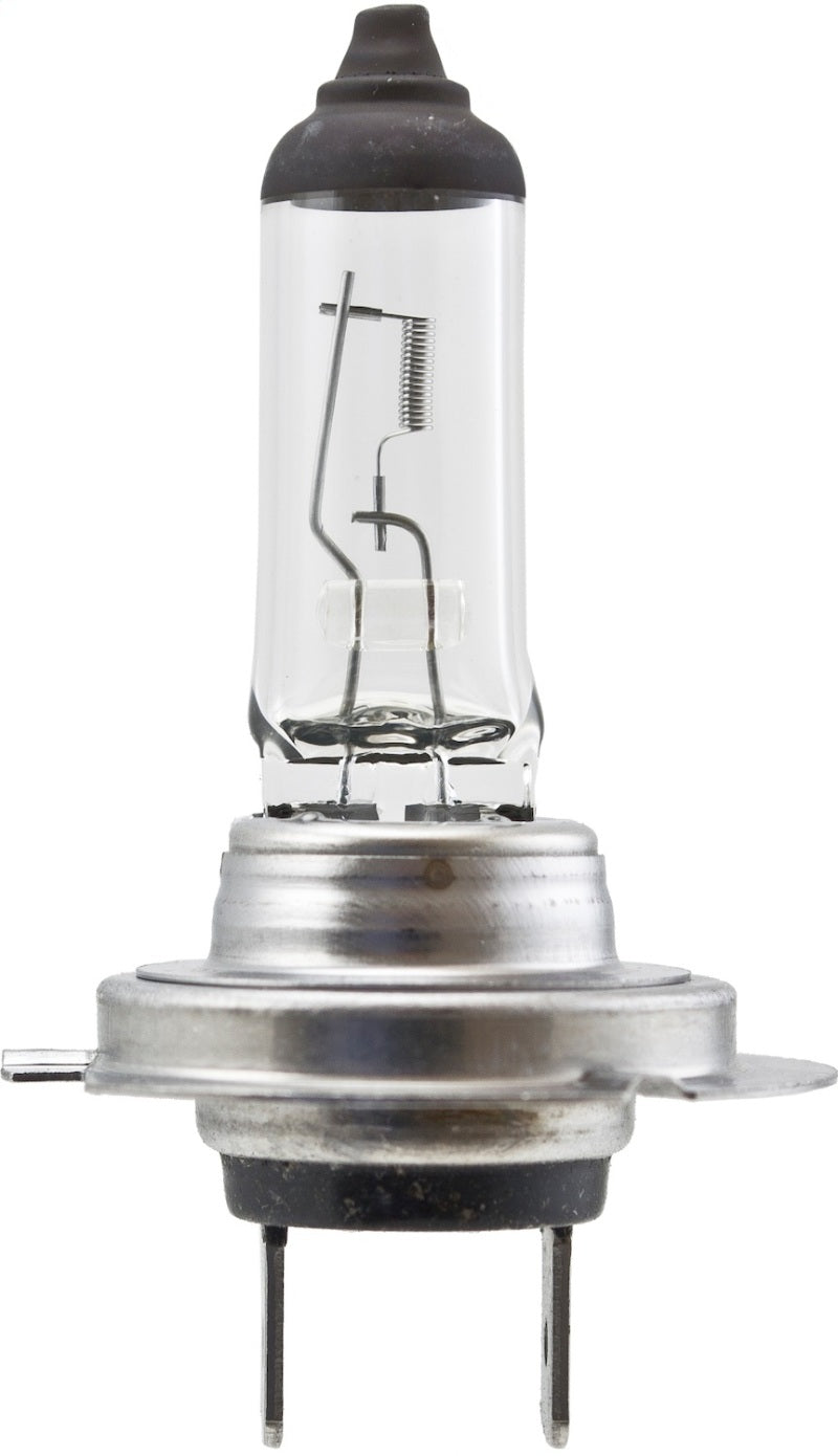 Hella High Wattage Bulb H7 12V 100W PX26d T4.6-thumbmail-10