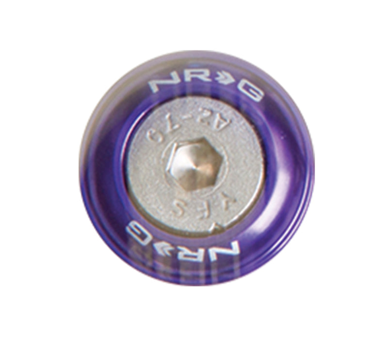 NRG Fender Washer Kit w/Rivets For Metal (Purple) - Set of 10-thumbmail-2