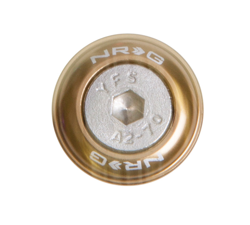 NRG Fender Washer Kit w/Rivets For Metal (Titanium) - Set of 10-thumbmail-1
