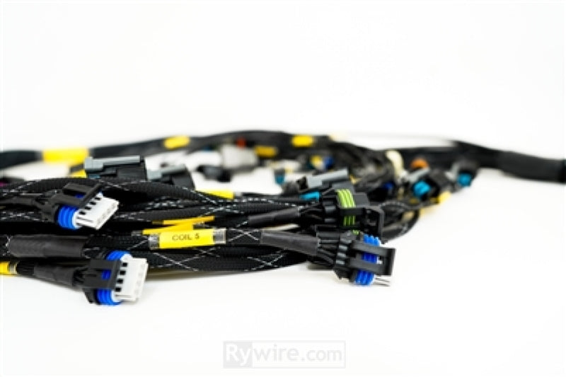 Rywire GM LS3 V8 E38 ECU Engine Harness w/Bosch MAP Option (Req PDM/Fuse Box/Mating Connector)-thumbmail-1