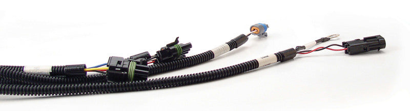 FAST Wiring Harness FAST Main-thumbmail-2