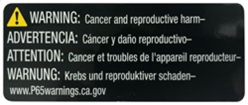 K&N 02 Honda Civic Si Polished Typhoon Short Ram Intake-thumbmail-10