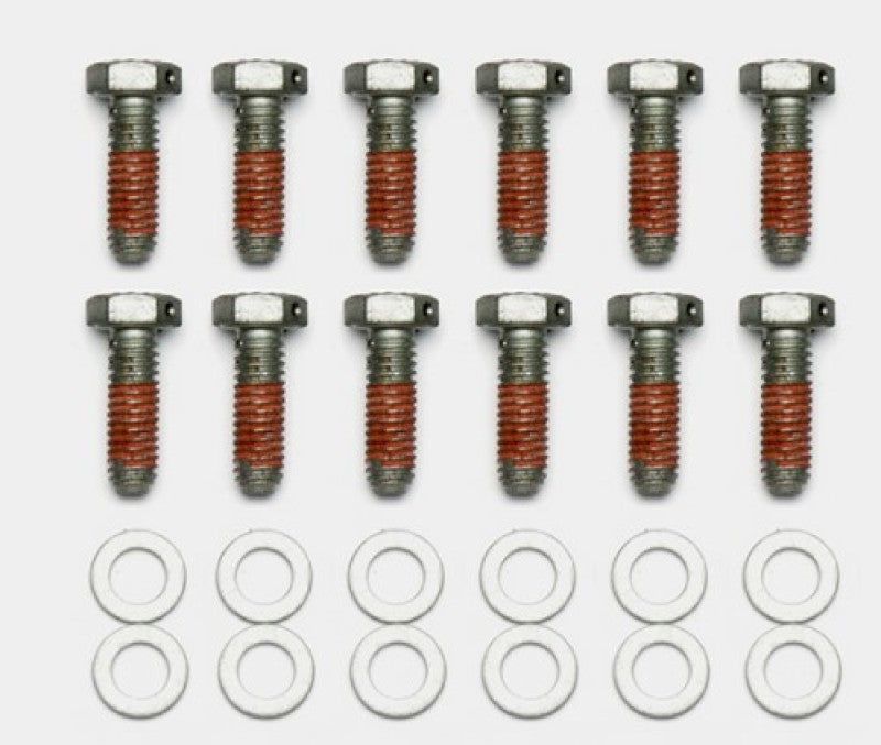 Wilwood Bolt Kit - 5/16-18 x 1.00 LG - 12 pk-thumbmail-1