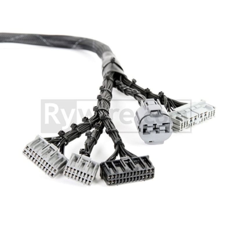 Rywire Honda B-Series OBD1 Tuck Budget Eng Harness w/OBD1 Dist/Inj/Alt/92-95 ECU Plugs (Adapter Req)-thumbmail-2
