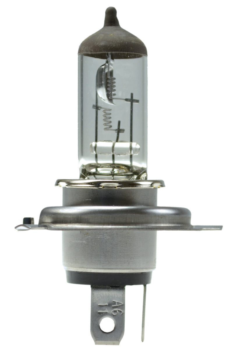 Hella H4 24V 75/70W P43t T4.625 Halogen Bulb (Min Order Qty 10)-thumbmail-2