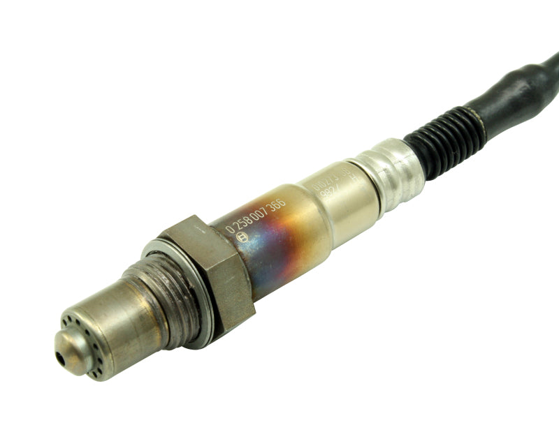 AEM Bosch UEGO Replacement Sensor-thumbmail-2