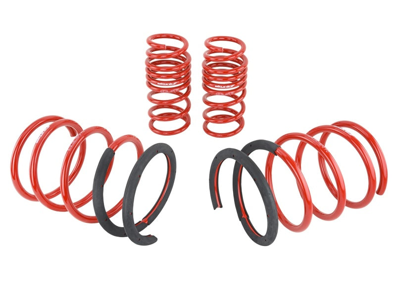 Skunk2 02-04 Acura RSX Lowering Springs (2.25in - 2.00in.) (Set of 4)-thumbmail-4