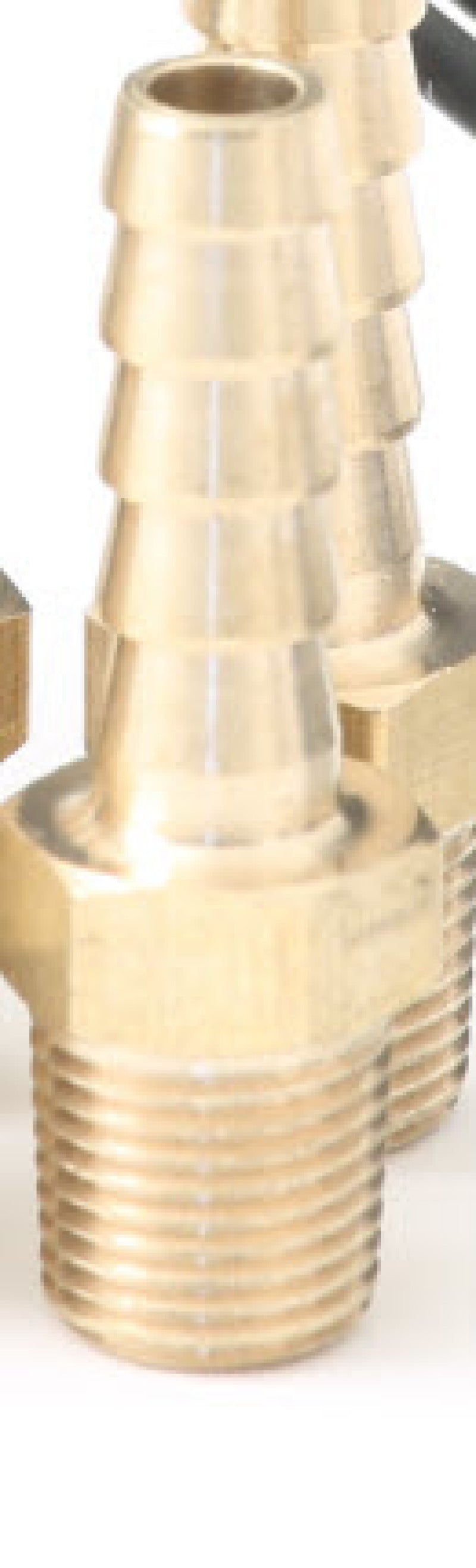GFB 1/8in BSPT Hose Tail (each)-thumbmail-3