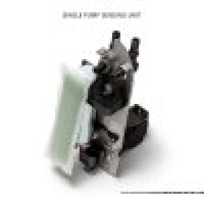 AMS Performance 2009+ Nissan GT-R R35 Omega Fuel System - Dual Pumps-thumbmail-2