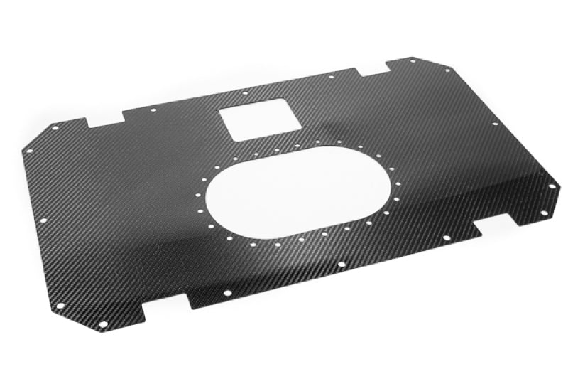 Radium Engineering Carbon Fiber Fuel Cell Lid - 10/14 Gallon-thumbmail-1