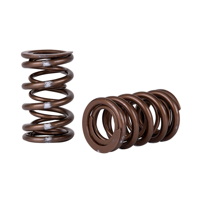 Skunk2 Pro Series Honda/Acura K-Series i-VTEC XP Valve Spring Set (Dual Springs)-thumbmail-2