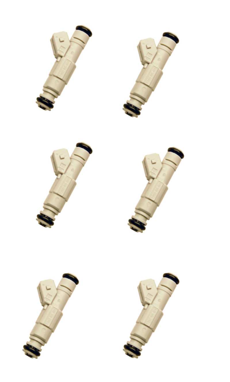 FAST Injector FAST 6-Pack 36-Lb/hr-thumbmail-3