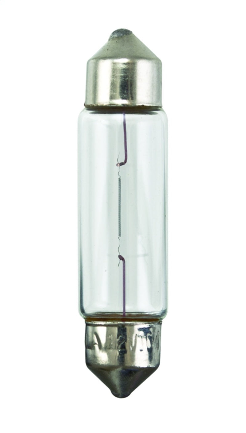 Hella Universal Clear 12V 10W 10x41mm T3.25 Bulb-thumbmail-3