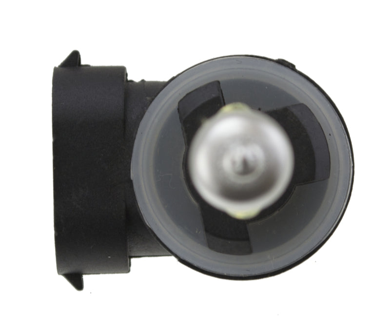 Hella Optilux 881 12V Xenon Yellow XY Bulb-thumbmail-10