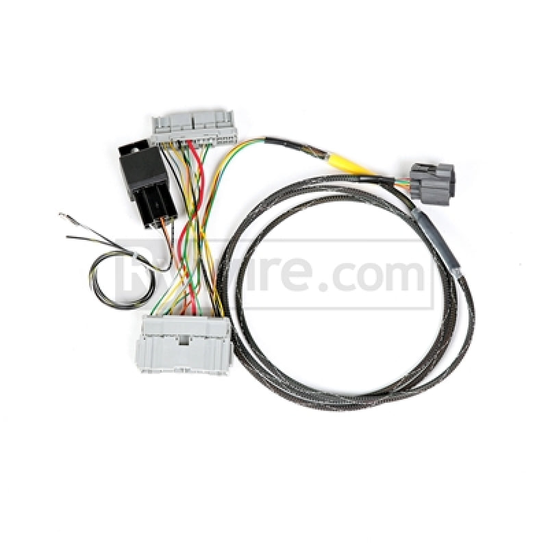 Rywire 01-05 Honda Civic K-Series Conversion Chassis Adapter Harness-thumbmail-2