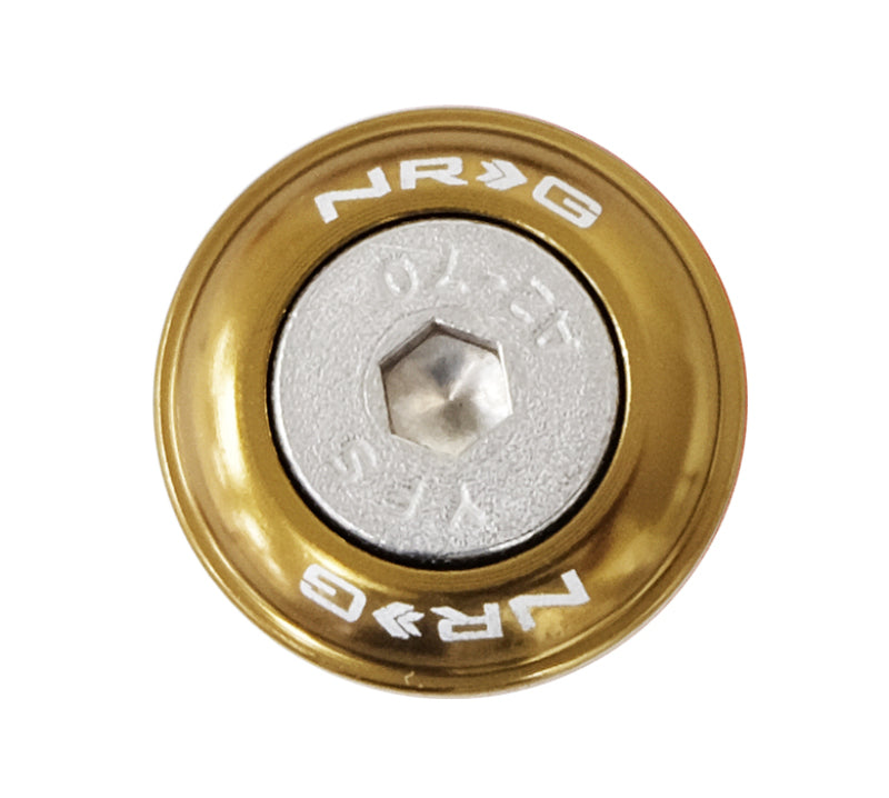 NRG Fender Washer Kit w/Rivets For Plastic (Titanium) - Set of 10-thumbmail-2