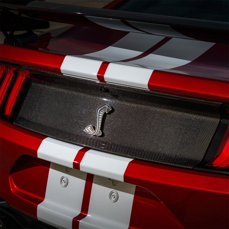 Ford Racing 20-21 Mustang GT500 Deck Lid Trim Panel-thumbmail-3