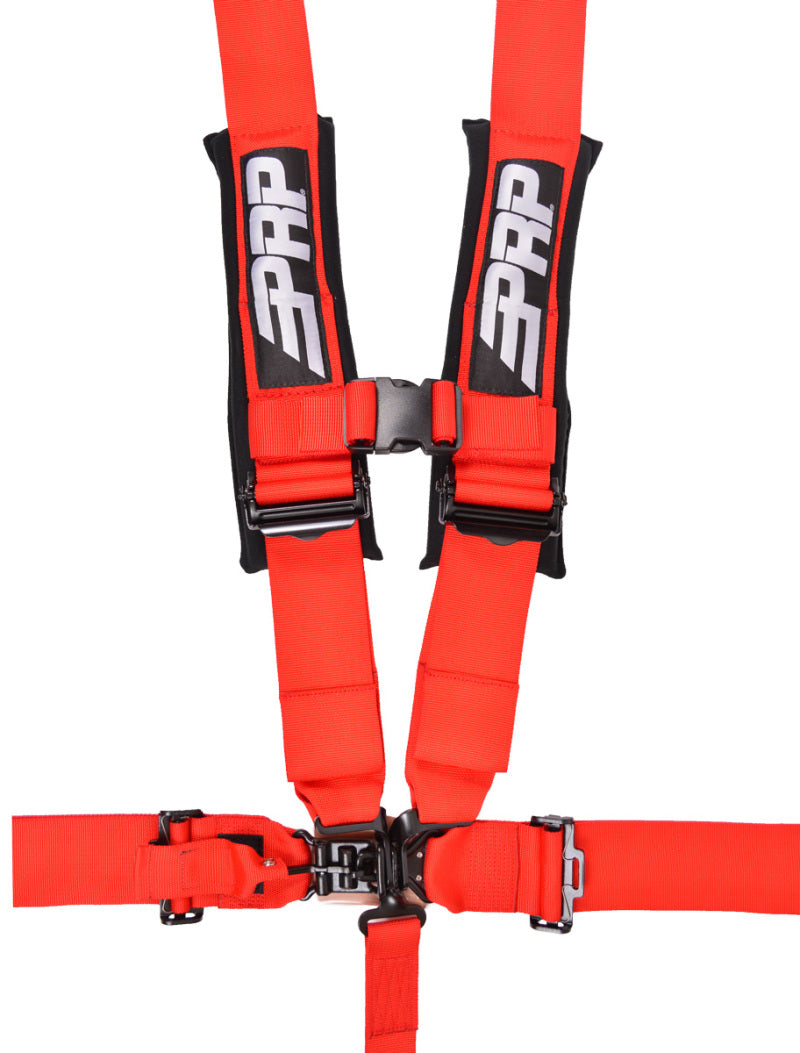 PRP 5.3 Harness- Red-thumbmail-1