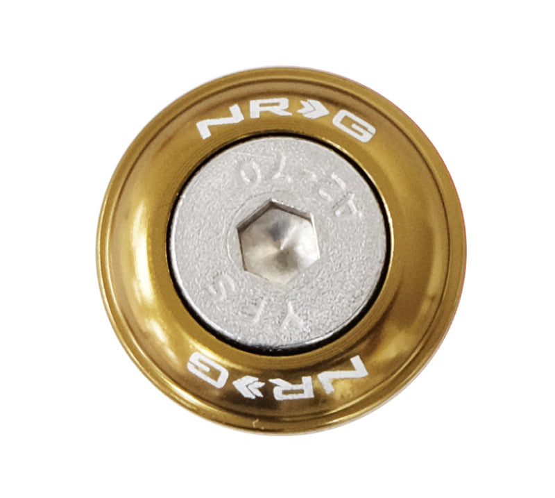 NRG Fender Washer Kit w/Rivets For Plastic (Titanium) - Set of 10-thumbmail-3