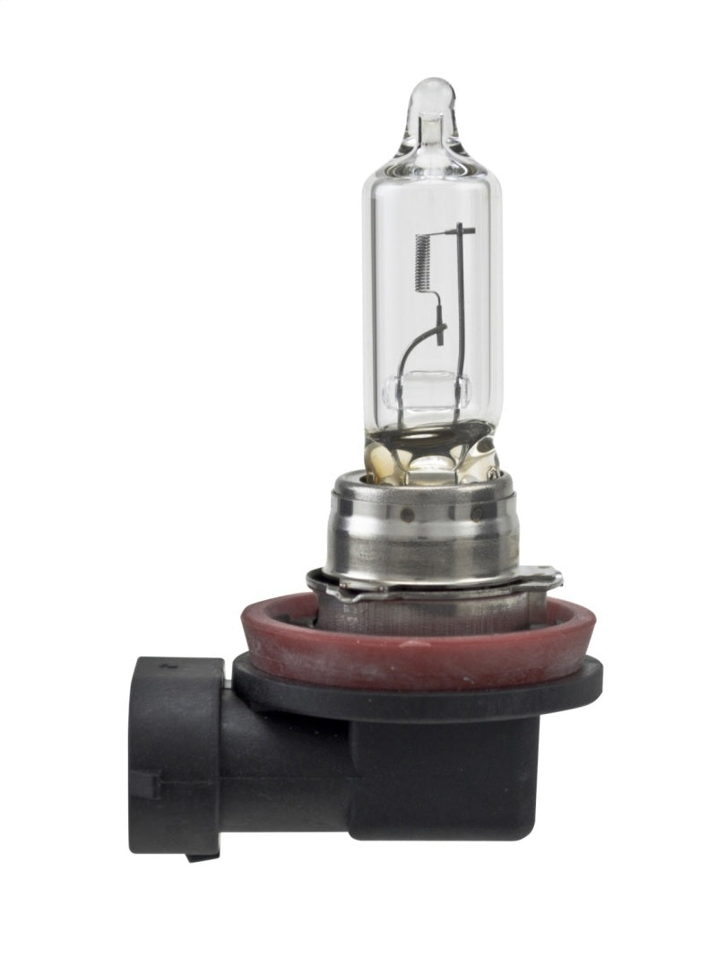 Hella Bulb H9 12V 65W Pgj195 T4 (2)-thumbmail-6