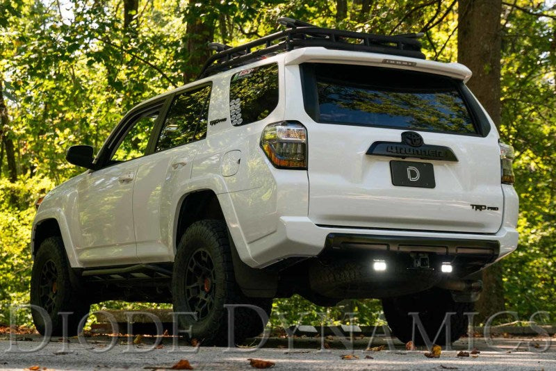 Diode Dynamics 10-21 Toyota 4Runner Stage Series Reverse Light Wiring Harness-thumbmail-3