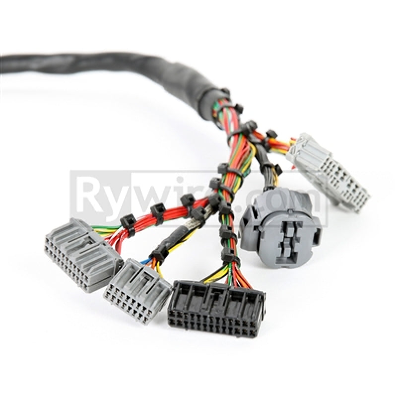Rywire Honda B-Series Mil-Spec Eng Harness w/OBD2 Dist/Inj/Alt & OBD1 92-95 ECU Plugs (Adapter Req)-thumbmail-2