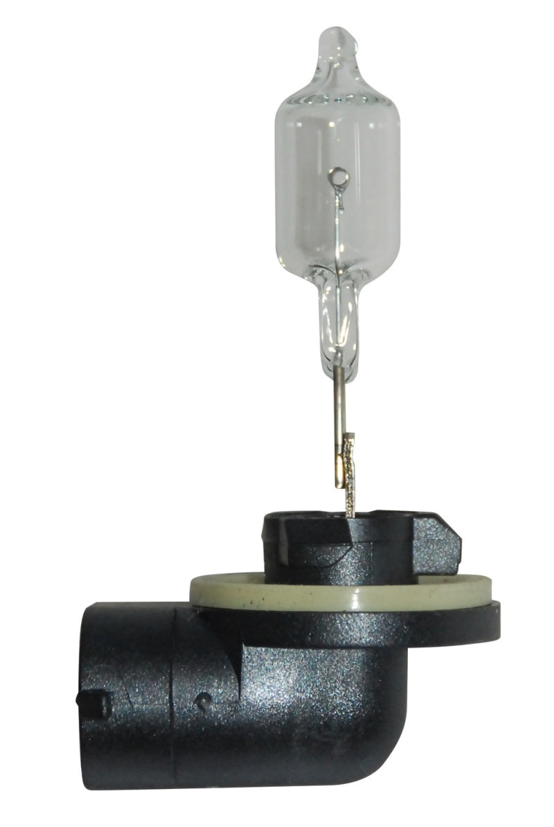 Hella Bulb 888 12V 50W PGJ13 T3.25-thumbmail-3