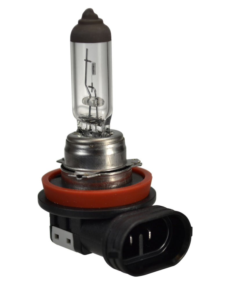 Hella Bulb H16 12V 19W PGJ19-3-thumbmail-2