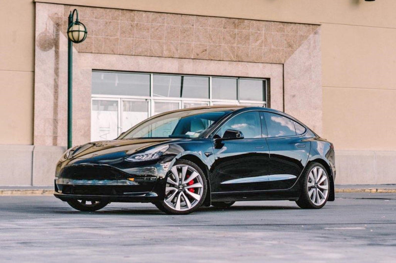 Rally Armor 17-22 Tesla Model 3 Black UR Mud Flap w/ Dark Grey Logo-thumbmail-6