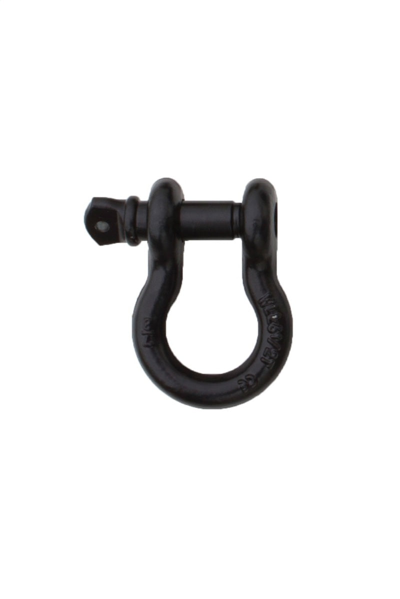 Rampage 1955-2019 Universal Recovery D Ring 7/8in Black - Black-thumbmail-2