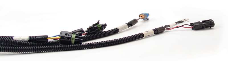 FAST Wiring Harness FAST Main-thumbmail-3