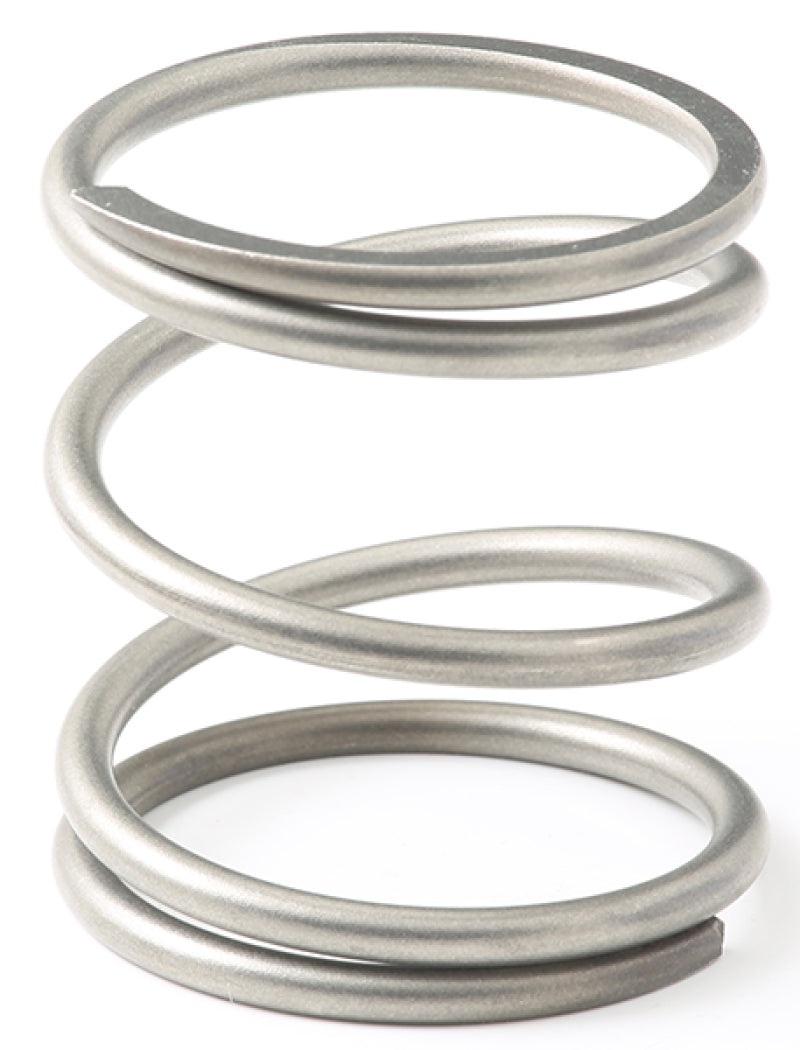 GFB EX38/44 10psi Wastegate Spring (Outer)-thumbmail-2