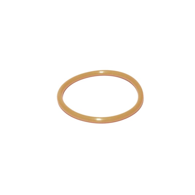 FAST Replacement Runner Seal-thumbmail-2