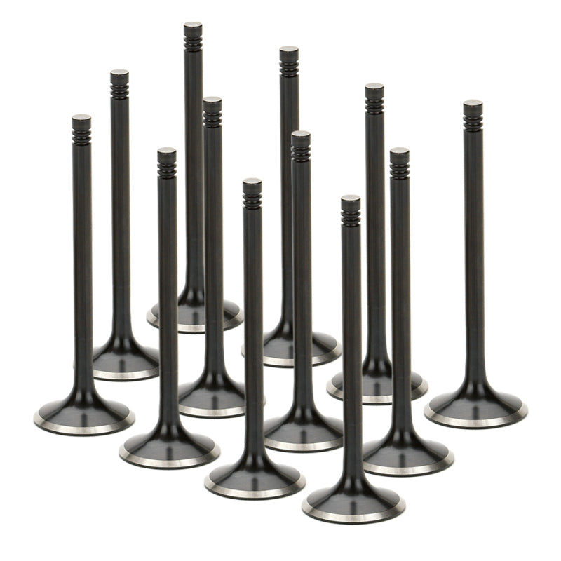 Supertech Audi/VW 1.8T 5V Black Nitride Exhaust Valve - Set of 12-thumbmail-1