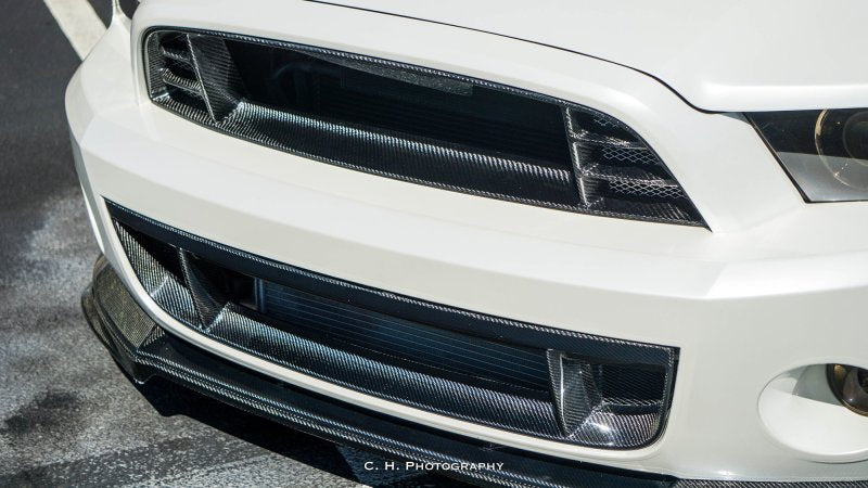Anderson Composites 10-14 Ford Mustang/Shelby GT500 Front Lower Grille-thumbmail-7