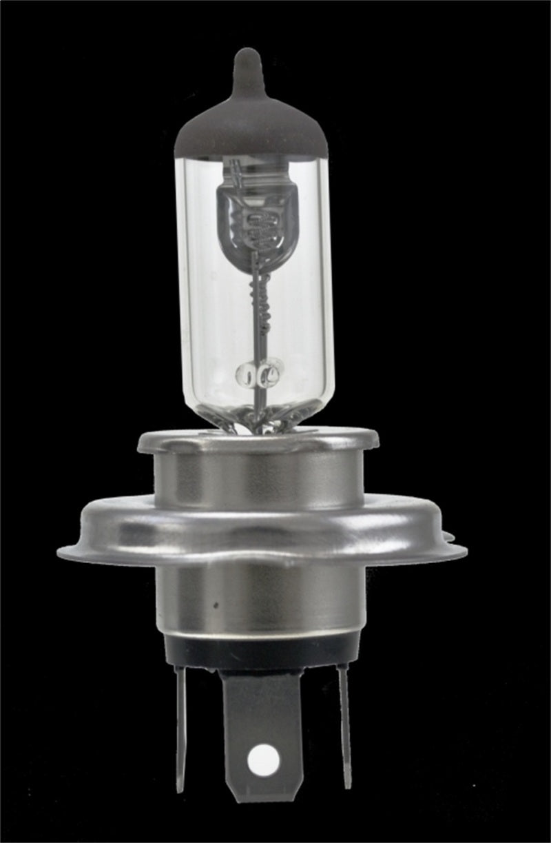 Hella H4 24V 75/70W P43t T4.625 Halogen Bulb (Min Order Qty 10)-thumbmail-3