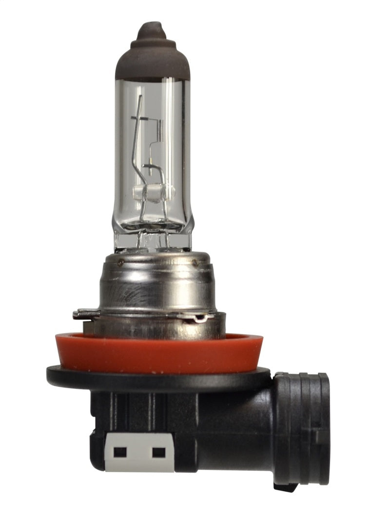 Hella Bulb H16 12V 19W PGJ19-3-thumbmail-9