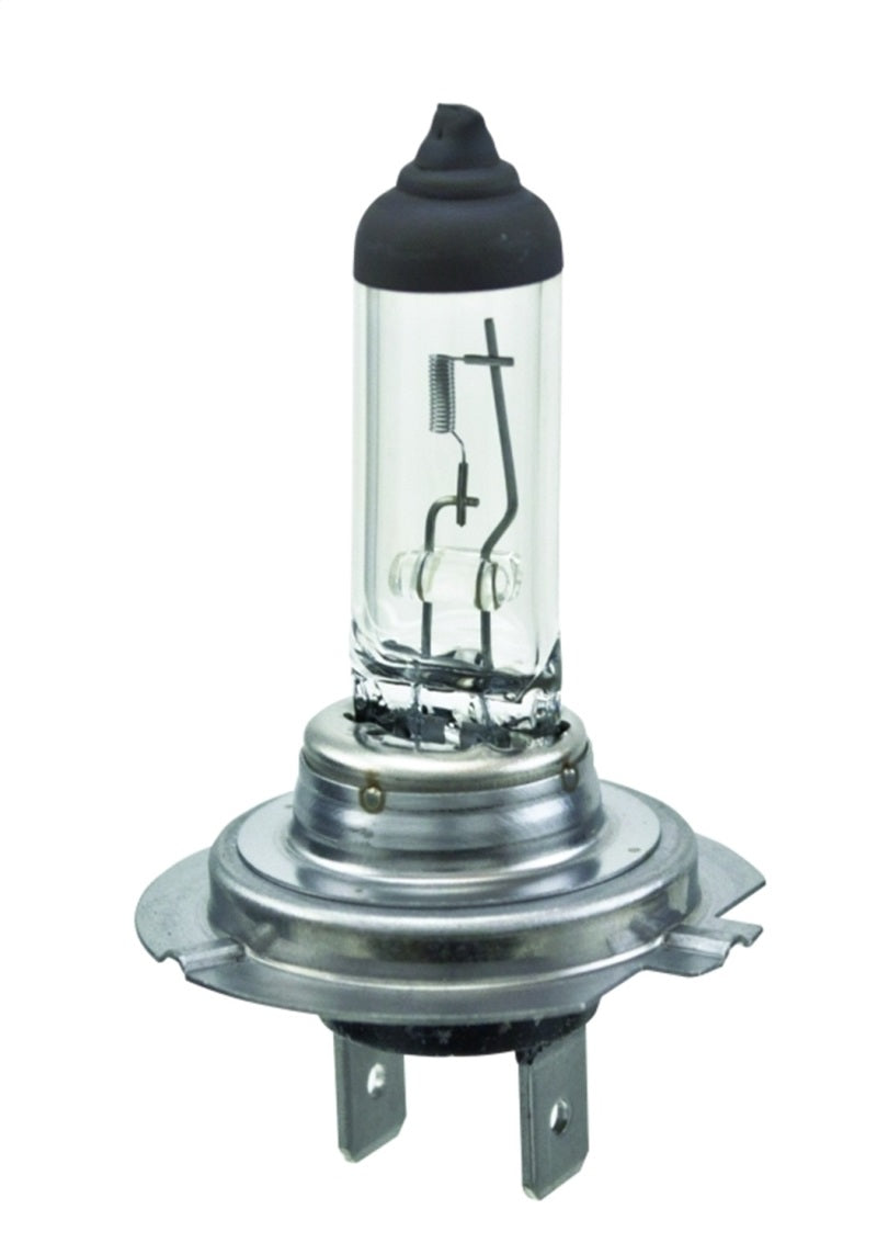 Hella Halogen H7 Bulb-thumbmail-4