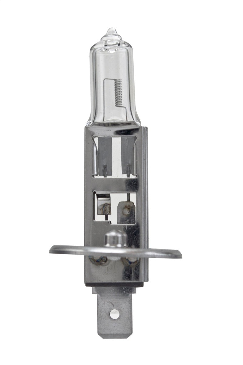 Hella Bulb H1 12V 55W P14.5s T2.5 LONGLIFE-thumbmail-3