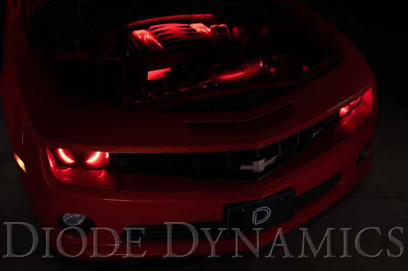 Diode Dynamics RGBW Engine Bay Strip Kit 2pc Multicolor-thumbmail-8