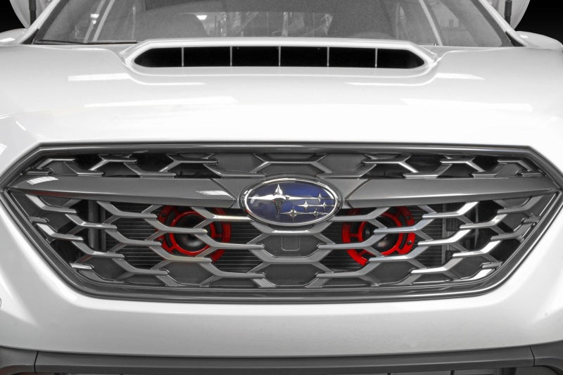 Perrin 2022 Subaru WRX Bracket for Hella Horns-thumbmail-5
